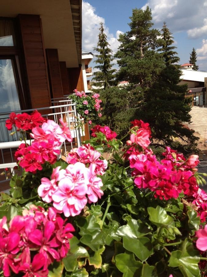 Dafovska Hotel Pamporowo Exterior foto